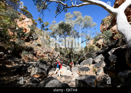 Standley Chasm, West MacDonnell Ranges, Territoire du Nord, NT, Australie Banque D'Images