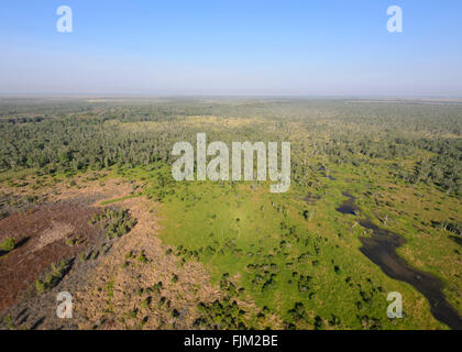 Vue aérienne d'un Billabong, près de Darwin, Territoire du Nord, Australie Banque D'Images