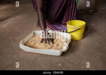 L'alimentation d'un agriculteur du grain dans ses poules, en Tanzanie. Banque D'Images