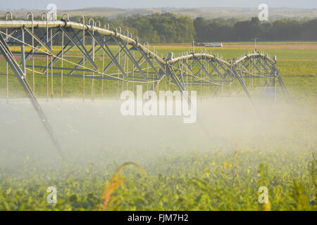 Système d'irrigation à pivot ferme Récolte des eaux Banque D'Images