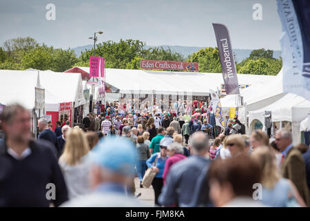 Des scènes du Devon County show. Banque D'Images