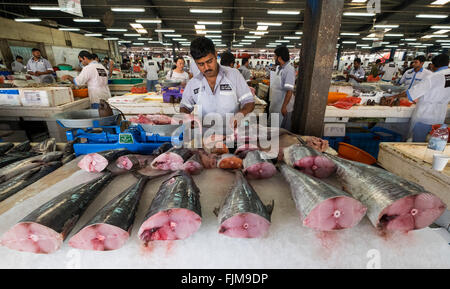 Thon pour la vente sur stand à Dubai Deira marché au poisson de Emirats Arabes Unis Banque D'Images
