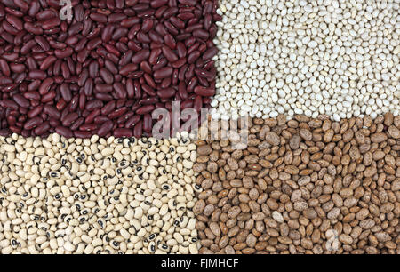 Les haricots secs, dans le sens horaire à partir de la gauche ou haricot rouge, haricot géant rouge ou haricots blancs, les haricots Pinto et Black Eyed Peas ou haricots Banque D'Images