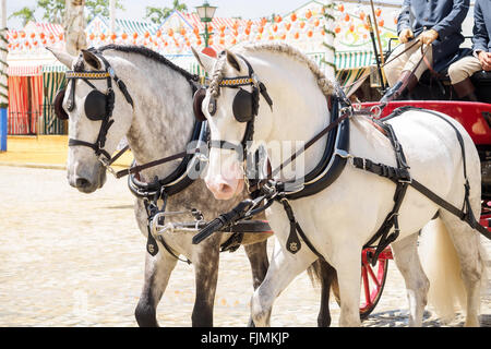 Séville, Espagne - 23 Avril 2015 : la calèche sur la foire de Séville. Banque D'Images