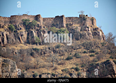 Fort de Ranthambore dans le parc national de Ranthambore, en Inde. Banque D'Images