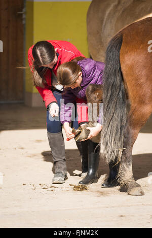 Deux filles le raclage du sabot du cheval sur la patte d'un poney Banque D'Images