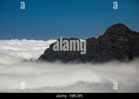 Géographie / voyages, Espagne, Tenerife, les paysages, le Parc National du Teide,-Additional-Rights Clearance-Info-Not-Available Banque D'Images