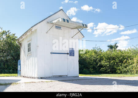 Bureau de poste Ochopee versé sur le Tamiami Trail dans la réserve nationale de Big Cypress, Everglades, Florida, USA Banque D'Images