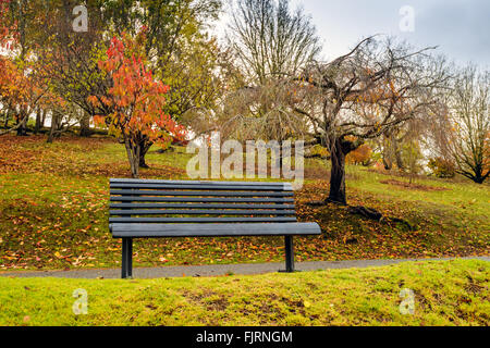 Banc de parc en automne sous la pluie dans la région de Adelaide Hills, Australie du Sud Banque D'Images