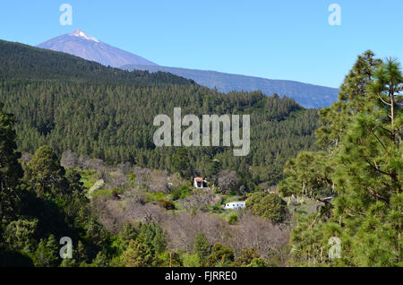 Vue sur la vallée de la Orotava à Mount Teide Banque D'Images