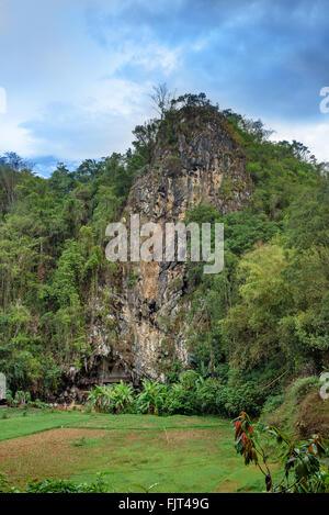 Lemo est falaises et cave vieille sépulture dans Tana Toraja. Galeries de tau-tau sur balcon guard les tombes. À l'intérieur il y a une colle Banque D'Images