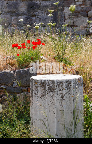 Ruines sur Kos, Grèce Banque D'Images