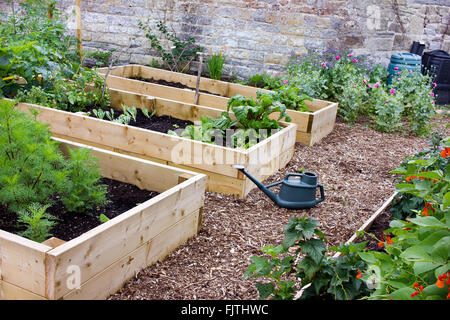 Pays rustique & légumes jardin fleuri avec des lits surélevés Banque D'Images