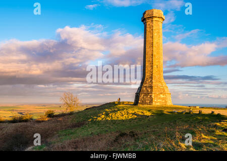 Hardy's Monument sur noir vers le bas près de Portesham de Dorset, UK Banque D'Images