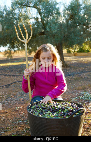 La récolte des olives farmer kid girl picking en Méditerranée Banque D'Images