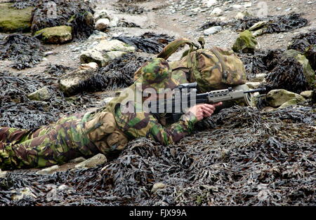 AJAXNETPHOTO. PLYMOUTH, en Angleterre. - ROYAL MARINES - voies de l'exercice - UN ROYAL MARINE À PARTIR DE 40 Brigade de commando s'intègre dans l'ENVIRONNEMENT NATUREL AU COURS D'UN EXERCICE AMPHIBIE ASSSAULT. PHOTO:JONATHAN EASTLAND/AJAX REF:50310/450 Banque D'Images