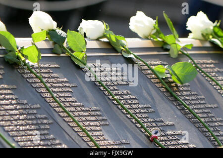 Belfast, Royaume-Uni. 15/04/2012 - Les Roses sont posés pour les noms des victimes sur le centenaire du naufrage du Titanic, et ouverture de la Memorial Garden à Belfast City Hall, au cours de la commémoration du 100e anniversaire et memorial le dévouement de la catastrophe du Titanic à Belfast, en Irlande du Nord, le 15 avril 2012. Le navire a heurté un iceberg dans l'Atlantique Nord sur son voyage inaugural le 14 avril 1912, avec la perte d'environ 1 500 vies. Il a été construit à Belfast's naval Harland and Wolff. Photo/Paul McErlane Banque D'Images