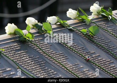 Belfast, Royaume-Uni. 15/04/2012 - Les Roses sont posés pour les noms des victimes sur le centenaire du naufrage du Titanic, et ouverture de la Memorial Garden à Belfast City Hall, au cours de la commémoration du 100e anniversaire et memorial le dévouement de la catastrophe du Titanic à Belfast, en Irlande du Nord, le 15 avril 2012. Le navire a heurté un iceberg dans l'Atlantique Nord sur son voyage inaugural le 14 avril 1912, avec la perte d'environ 1 500 vies. Il a été construit à Belfast's naval Harland and Wolff. Photo/Paul McErlane Banque D'Images