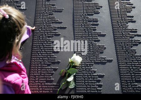 Belfast, Royaume-Uni. 15/04/2012 - Les Roses sont posés pour les noms des victimes sur le centenaire du naufrage du Titanic, et ouverture de la Memorial Garden à Belfast City Hall, au cours de la commémoration du 100e anniversaire et memorial le dévouement de la catastrophe du Titanic à Belfast, en Irlande du Nord, le 15 avril 2012. Le navire a heurté un iceberg dans l'Atlantique Nord sur son voyage inaugural le 14 avril 1912, avec la perte d'environ 1 500 vies. Il a été construit à Belfast's naval Harland and Wolff. Photo/Paul McErlane Banque D'Images