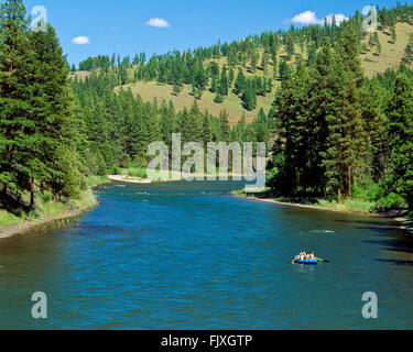 Les chevrons la pêche sur la rivière Blackfoot près de Potomac, Montana Banque D'Images