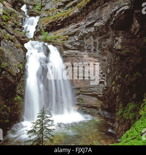 Le Creek Falls dans le bassin du ruisseau de monture de Lolo National forêt près de Ovando, Montana Banque D'Images