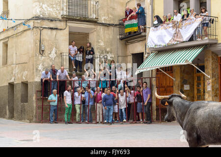 Courses de taureaux dans les rues d'Igea, village de La Rioja, Espagne Banque D'Images