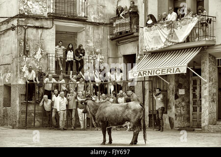 Courses de taureaux dans les rues d'Igea, village de La Rioja, Espagne Banque D'Images