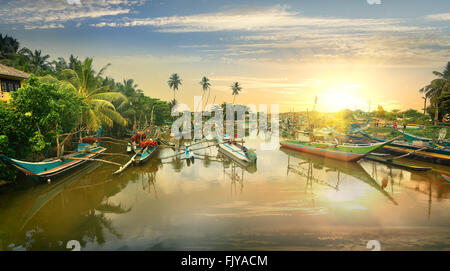 Bateaux de pêche dans la baie de l'eau au coucher du soleil, le Sri Lanka Banque D'Images