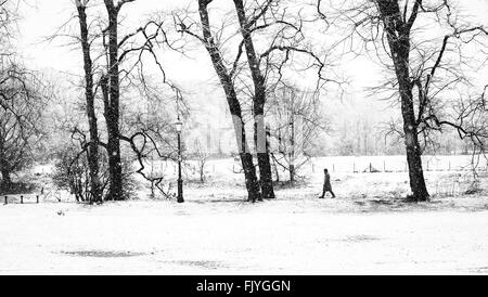 Preston, Royaume-Uni. 4e mars 2016. Météo britannique. Tôt le matin, le grésil et la neige n'a pas empêché dog walkers dans Preston's Avenham Park ce matin. Crédit : Paul Melling/Alamy Live News Banque D'Images