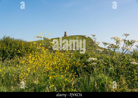 Tour Clavell, Kimmeridge, Dorset, England, UK Banque D'Images