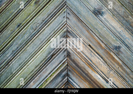 Vintage wood background. En bois de chêne vieilli grunge textured pin ou bandes. Clôture rustique vert. Banque D'Images