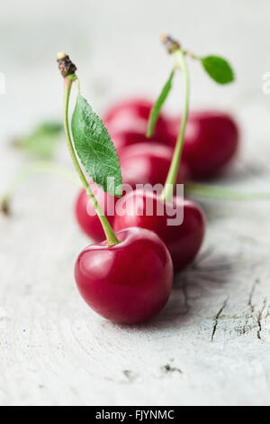 Produits frais bio de griotte, de mûre, de cerise rouge profond Banque D'Images