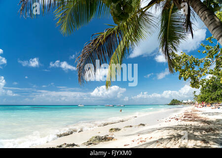 Plage de sable fin de Bayahibe, la République dominicaine, Caraïbes, Amérique Latine, Banque D'Images