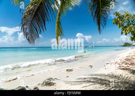 Plage de sable fin de Bayahibe, la République dominicaine, Caraïbes, Amérique Latine, Banque D'Images