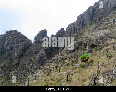 Une arête de mur de lave sur le Kilimandjaro Banque D'Images