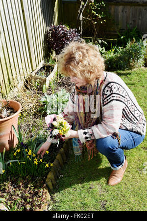 Posy de fleurs de printemps y compris les jonquilles cueillies dans le jardin pour la Fête des Mères, UK Banque D'Images