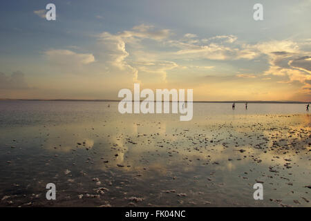 Tüz Gölü salt lake en Anatolie centrale, Turquie Banque D'Images