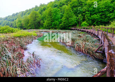 Chemin touristique en bois dans le parc national des lacs de Plitvice - Croatie Banque D'Images