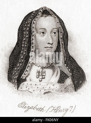 Elizabeth d'York, 1466 - 1503. Reine consort d'Angleterre depuis 1486 jusqu'à sa mort, en tant qu'épouse d'Henry VII. Banque D'Images
