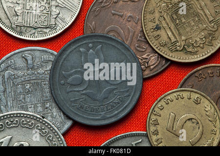 Coins des Pays-Bas. Trois tulipes représenté dans le Dutch deux cents et demi (1942). Banque D'Images