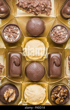 Pralines au chocolat de divers types d'une fort Banque D'Images