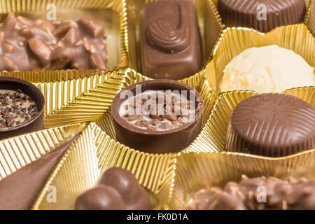 Mixed types de chocolat Pralines dans une boîte Banque D'Images