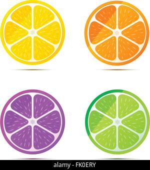 Ensemble de tranches de fruits sur blanc brillant Illustration de Vecteur