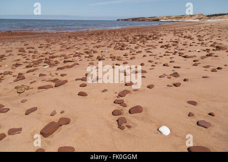 Une photo d'une coquille blanche et orange rochers éparpillés sur une plage de sable fin à la plage de Cavendish, Prince Edward Island (PEI) o Banque D'Images