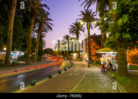 Palm avenue dans l'île de Kos Grèce Banque D'Images