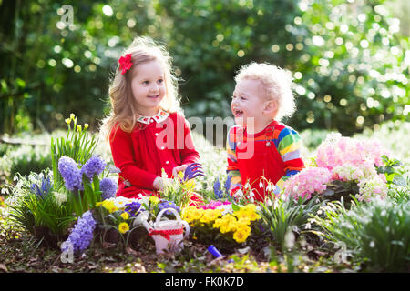 La plantation d'enfants fleurs de printemps dans le jardin ensoleillé. Petit garçon et fille usine jardinier, jacinthe, jonquille snowdrop en lit de fleur. Banque D'Images