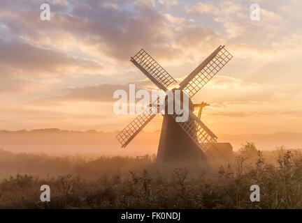 Herringfleet smock mill dans la brume du matin au lever du soleil. Banque D'Images