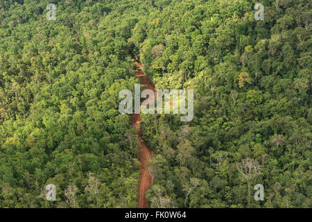Aérien - route dans la forêt de division du Nord. Banque D'Images