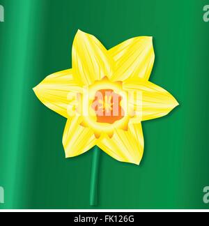 Un Saint Davids Day daffodil sur fond vert Illustration de Vecteur
