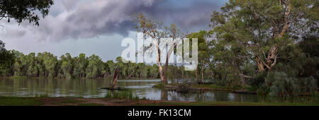 Orage d'été passe au-dessus de la Murray River près de Wentworth NSW, Australie. L'eau de premier plan est un petit ruisseau le compte rendu de la Murray et Darling rivers Banque D'Images